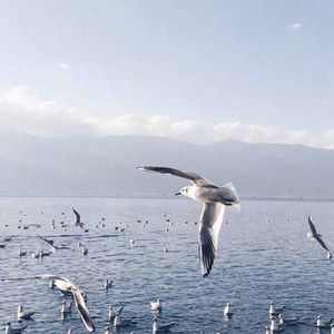 国产偷拍 日韩女优 欧美精品
